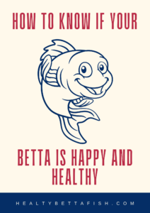 BettaFish_e_book_cover_image